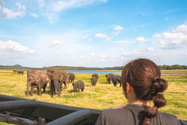 スリランカ_ミンネリア国立公園_W02