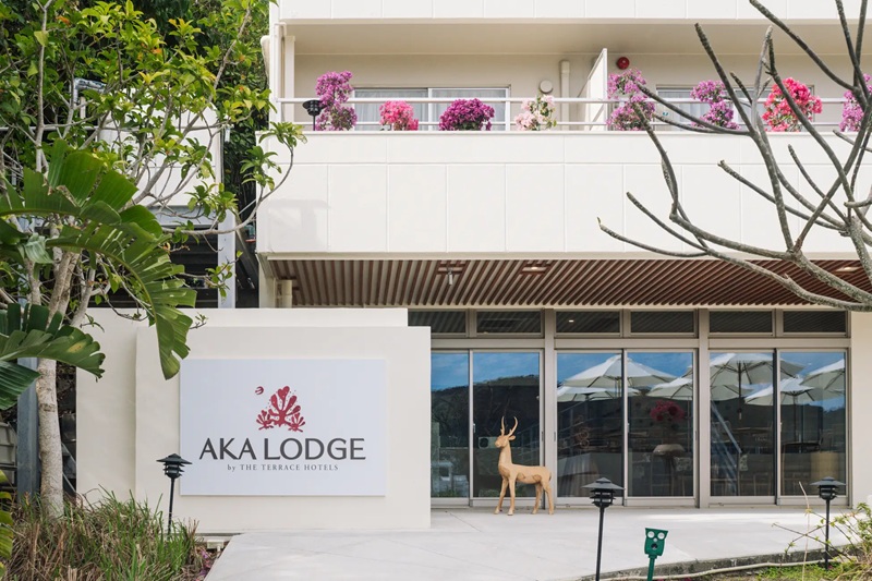 沖縄・阿嘉島に「AKA LODGE by THE TERRACE HOTELS」開業
