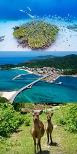沖縄・阿嘉島_AKA LODGE by THE TERRACE HOTELS アカロッジ by ザ・テラスホテルズ