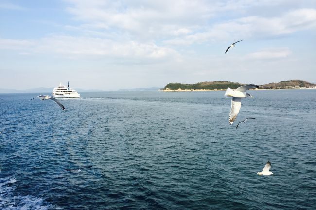 小豆島_小豆郡地域雇用創造協議会_島職
