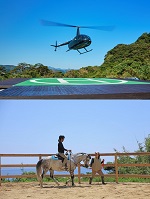 日向大島_「HINATA大島」