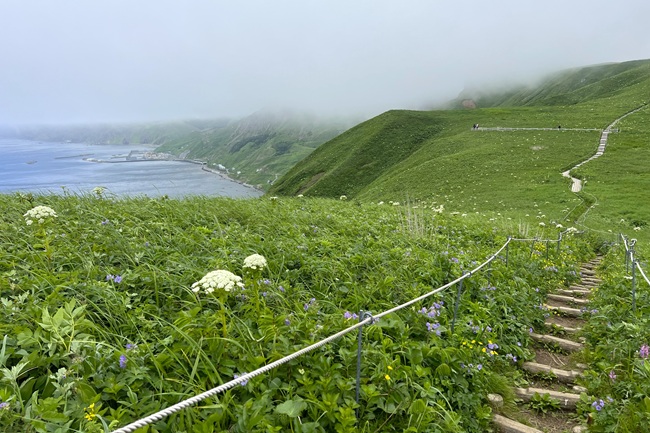 礼文島_桃岩展望台トレッキングコース_W05