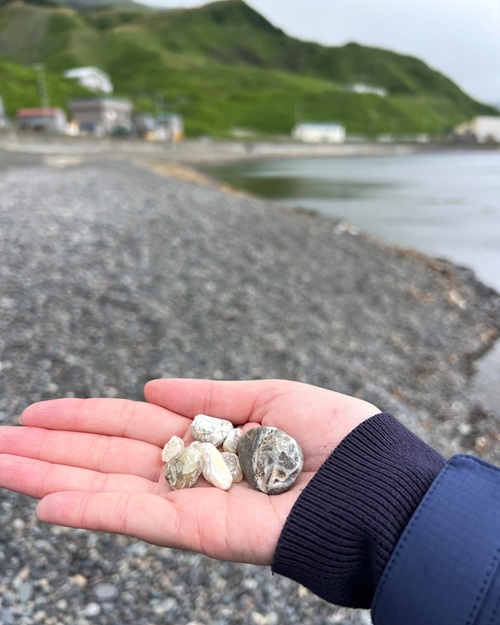 礼文島_メノウ浜（元地海岸）_W05
