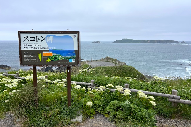 礼文島_スコトン岬_W05